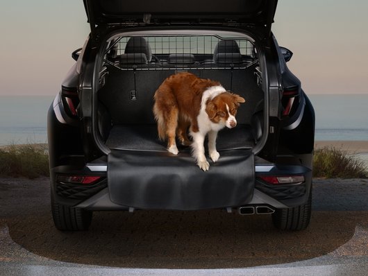 Автомобілі Hyundai м. Одеса | Купити новий Хюндай | Автотрейдінг Одеса ДП - фото 11