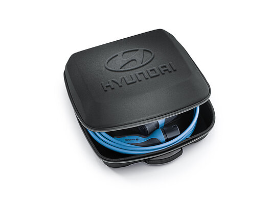 Аксесуари для автомобілів Hyundai у м. Одеса | Автотрейдінг Одеса ДП - фото 12