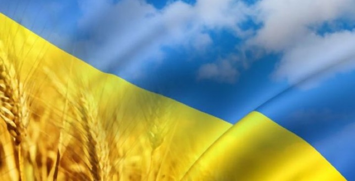 Автомобілі Hyundai м. Одеса | Купити новий Хюндай | Автотрейдінг Одеса ДП - фото 16